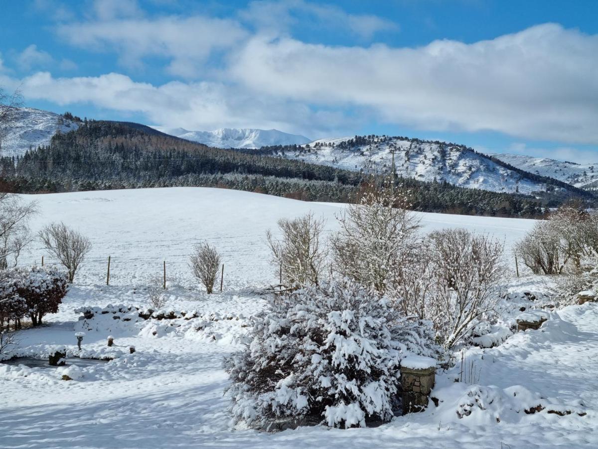 Craggan Bed & Breakfast Ballater Dış mekan fotoğraf
