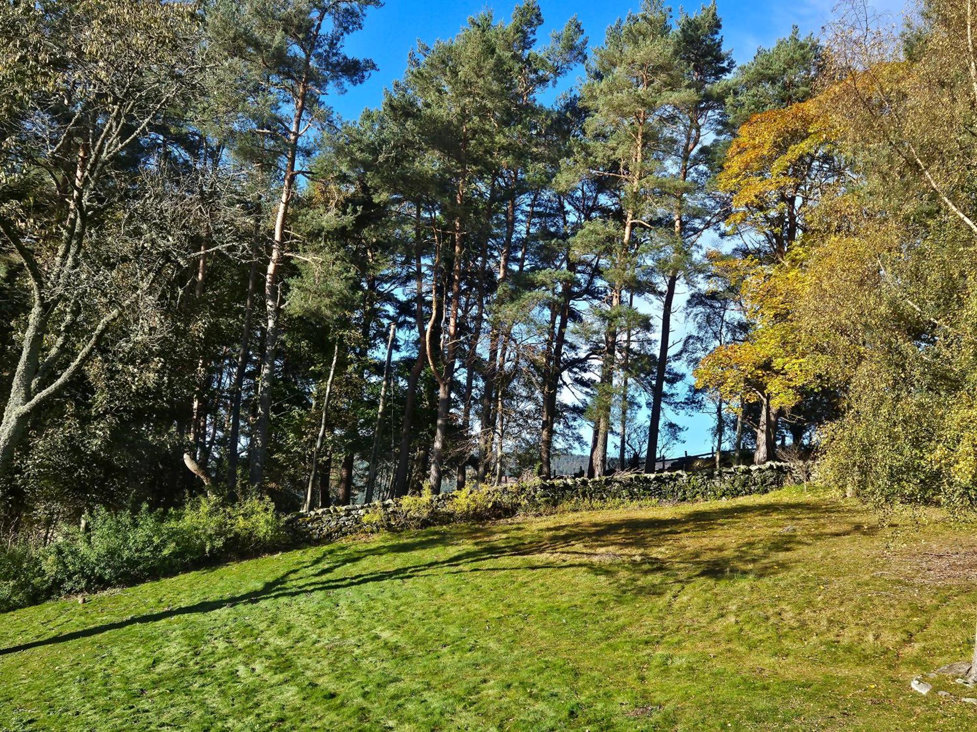 Craggan Bed & Breakfast Ballater Dış mekan fotoğraf