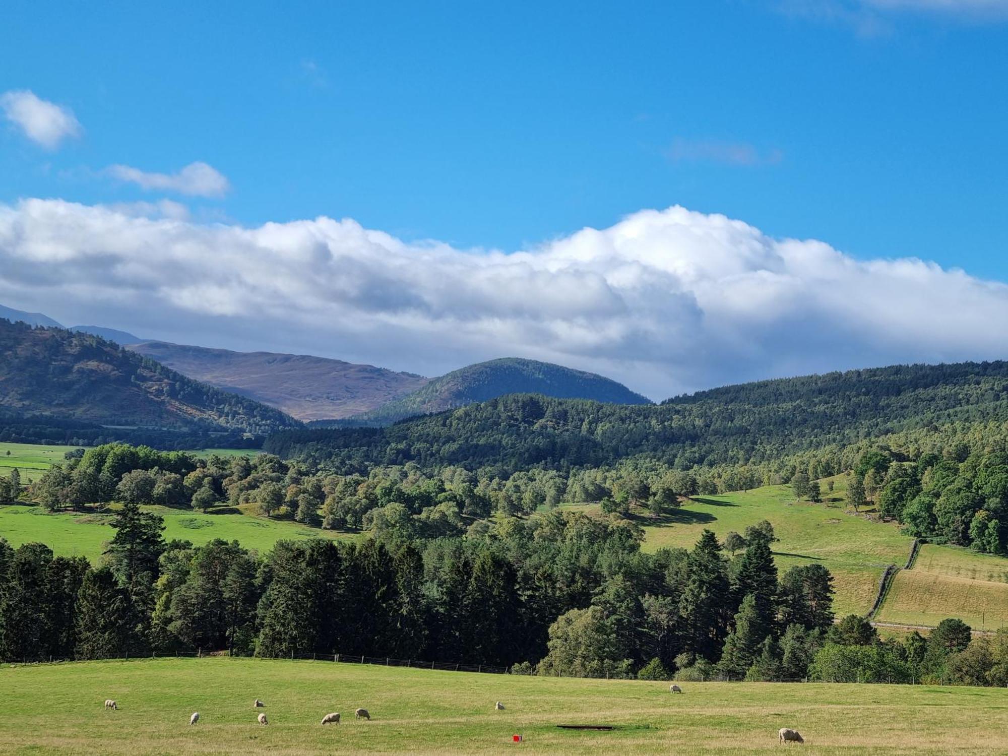 Craggan Bed & Breakfast Ballater Dış mekan fotoğraf