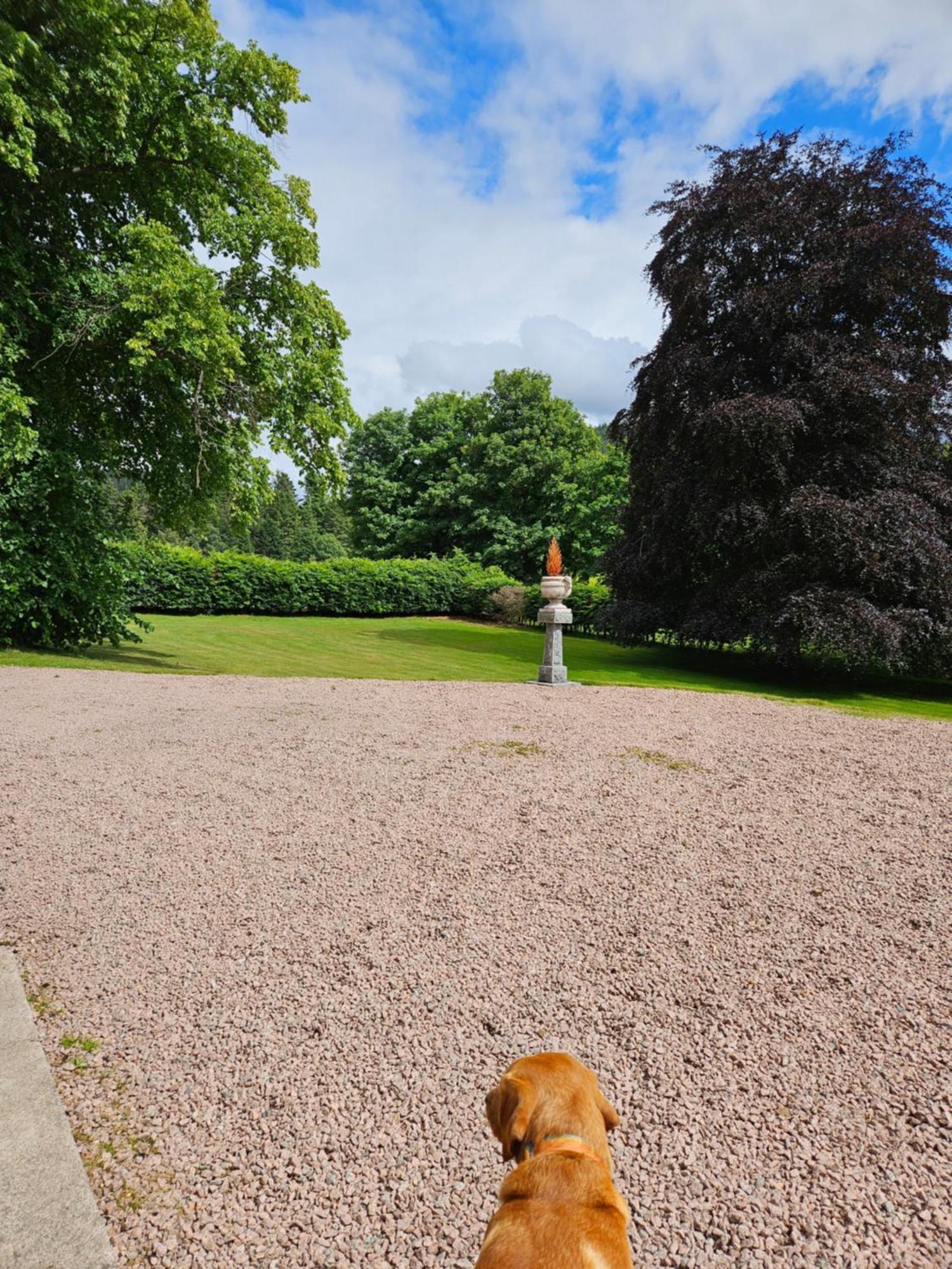 Craggan Bed & Breakfast Ballater Dış mekan fotoğraf
